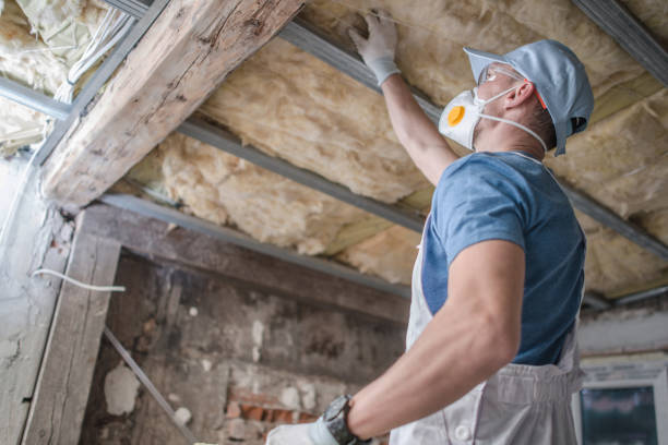Best Affordable Insulation Services  in Burlington, NC