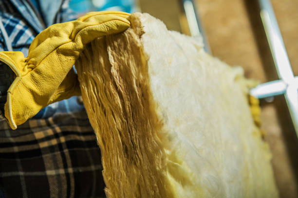 Best Insulation Contractors for Homes  in Burlington, NC