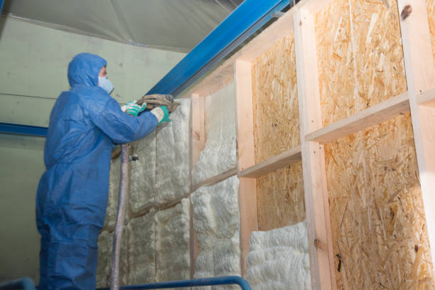 Best Insulation Contractor Near Me  in Burlington, NC
